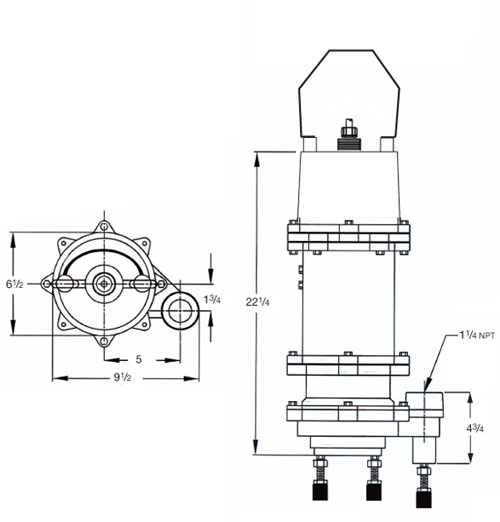 DSGP1 Dimensions